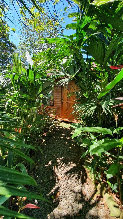 Arenal Rustic Lodge אלאג'ואלה מראה חיצוני תמונה