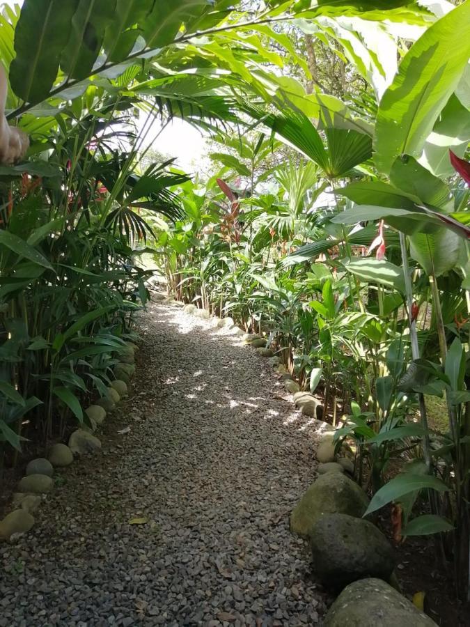 Arenal Rustic Lodge אלאג'ואלה מראה חיצוני תמונה