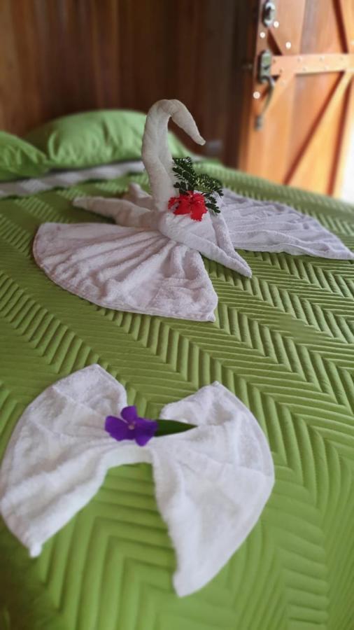 Arenal Rustic Lodge אלאג'ואלה מראה חיצוני תמונה